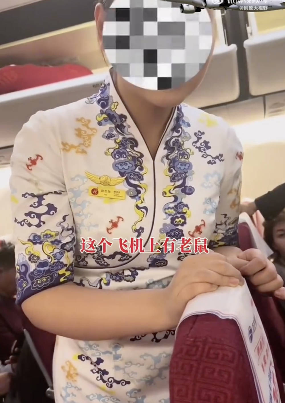 海航长安航空9H8356航班老鼠事件引发关注航空公司回应并采取措施