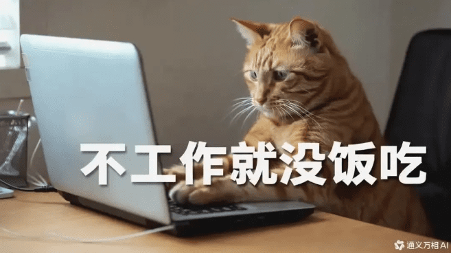 猫咪打字效果